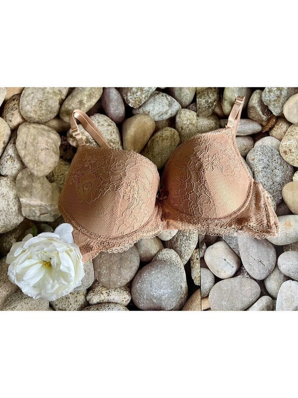 NWOT BEIGE LACE BRA-34C